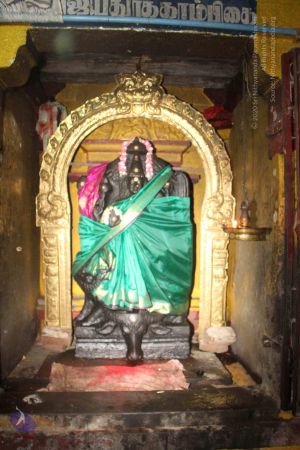 20120521 Photo 1334 1elg-4Xf4fmQISpWIxUHhfrtK0Ip7HsU-.JPG