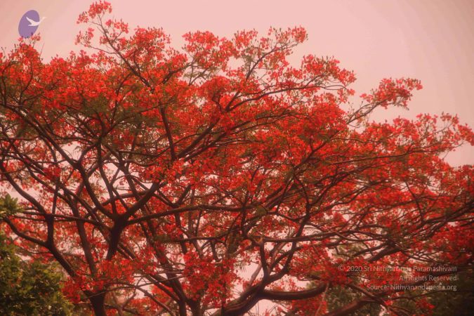 20120524 Photo 1141 11RH93tiXZOOvzQgwYUMAQGZhAyzYh1OS.JPG