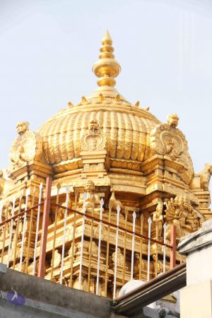 20120524 Photo 1205 1rrqVUg5pbsVez7vPmObK2QnxCdH2c64J.JPG