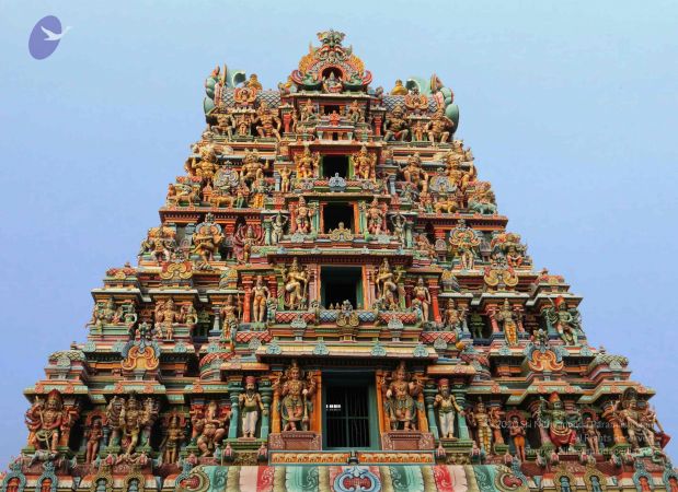 20120529 Photo 1037 1Z-mKjyKBYORpqf- P-j uaI1pTti8LvJ.JPG