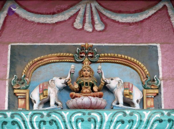 20120529 Photo 1125 1XnHxbBaEgeU6di3YHOJ6W QMyFn0Uq0Y.JPG