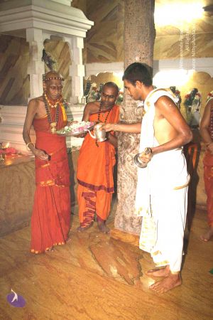 20120602 Photo 1036 1SW5j5Dgkt68jjcnM7iCCNmbAsVZA-k5z.JPG