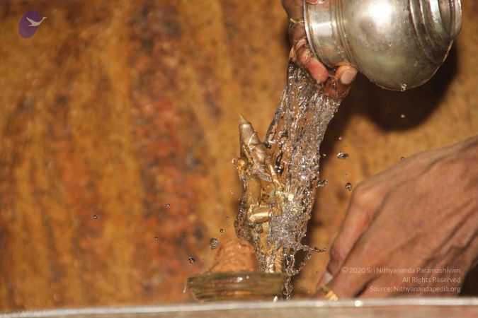 20120605 Photo 1038 1DYoxUPgXkR Nr6LJq4NP al CSZhhV2O.JPG