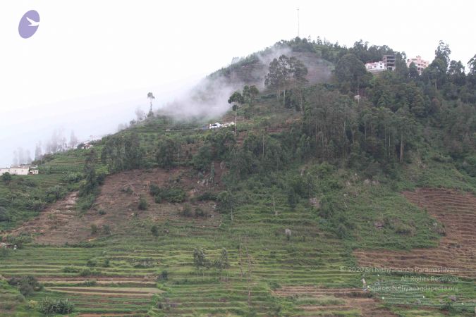 20120701 Photo 1184 1JRJD42tR46Hhnm1jknxgfmpkMAt644nt.JPG