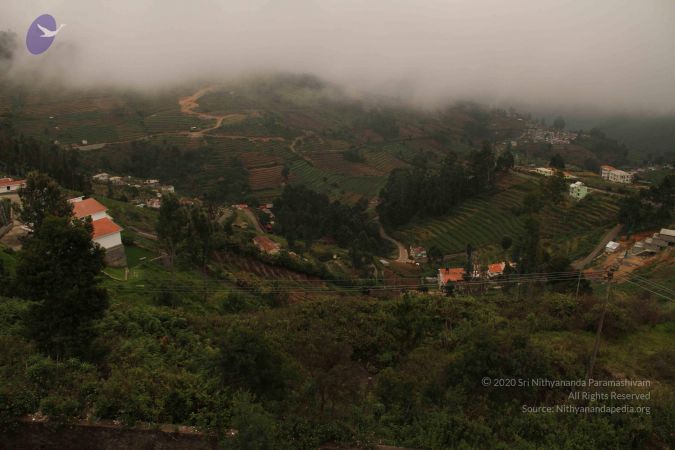 20120701 Photo 1188 1yS1M 6Cg1ERQTkn9g38kYSM3MBp88BG3.JPG