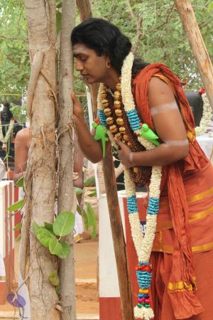 20120703 Photo 1056 1i6j2hhvbG37Qgiu8awYPKEXccJCKXtYR.JPG