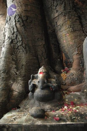 20120708 Photo 1014 1c6Ef-rlZY2q0PCFn29p2K9xaCbUOMFYd.JPG