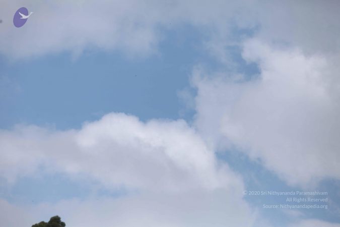 20120708 Photo 1063 1IAvDLJyGcqR vSrZY2WCag2-XBdAZH9F.JPG