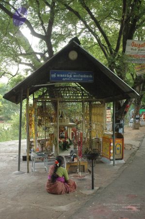 20120708 Photo 1320 1ehf1d2nNVq2xI7A5xTnrbqm9jfI1TX2R.JPG