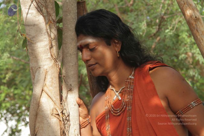 20120724 Photo 1017 1X8MCGUFnUpO894fhfwfAPqbsHdUa4eQt.JPG