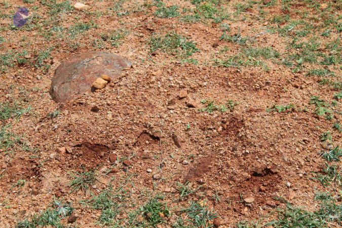 20120724 Photo 1294 1pQHRof-YnGr56uRX9MGMynd42ZInWhkb.JPG