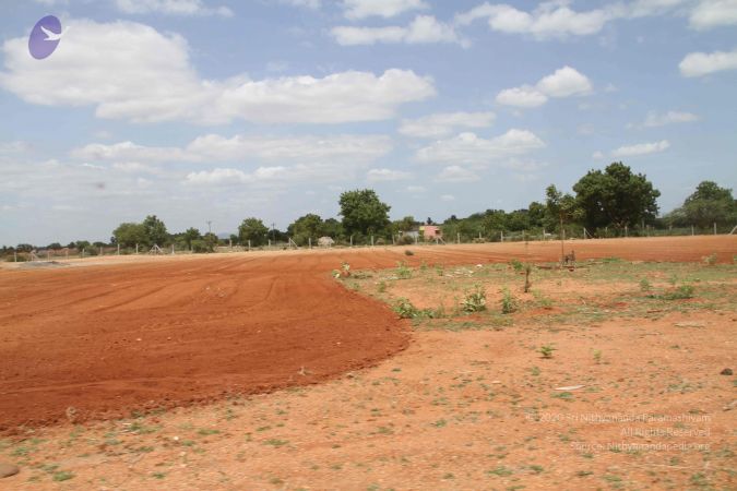 20120724 Photo 1307 1tvkdBj57Qcty8HEXgUZfIj 28gWONJ7K.JPG