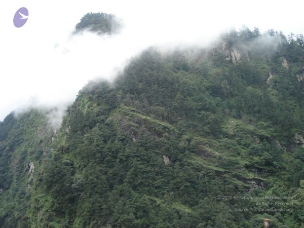 20120727 Photo 1121 1OfP0ulZX4njOzE2uvNnljPKD3pk7Ee7c.JPG