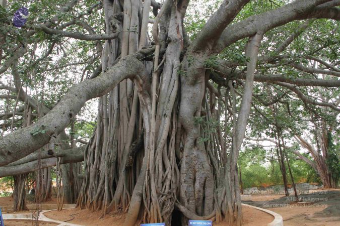 20120728 Photo 1009 1jn0xSLaCtAiCq88nWDFjhlNXCEk-4qjk.JPG