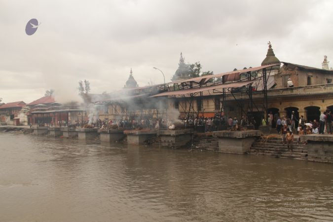 20120801 IMG 6167-16601.jpg