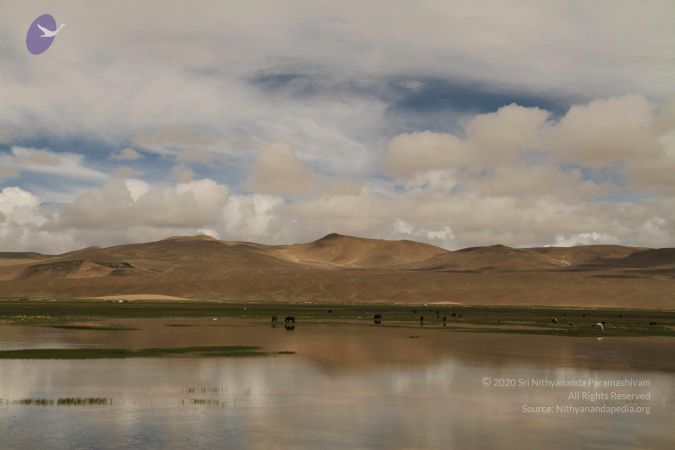 20120806 Photo 1050 17X3n z9ON8VMf3WRwjIa1XrprjRQXHE3.JPG