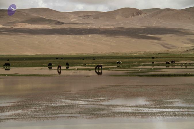 20120806 Photo 1052 17lN9ajYLV3JVLsY1 MYjN6T4l4 rDTF6.JPG