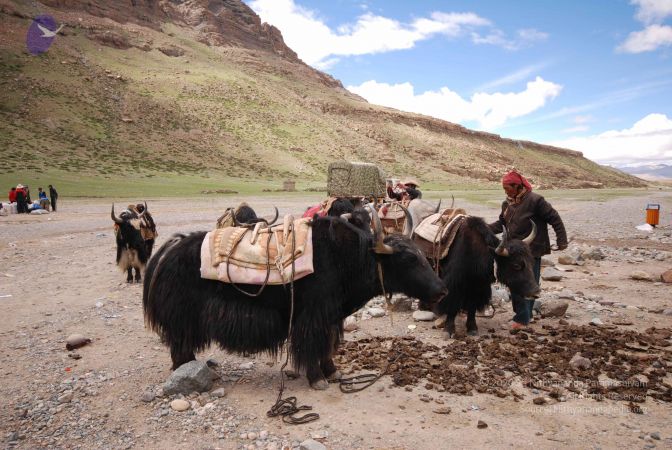 20120809 Photo 1096 14te1JnFvyQJN32kRom7LQtyX1dtBTpW7.JPG