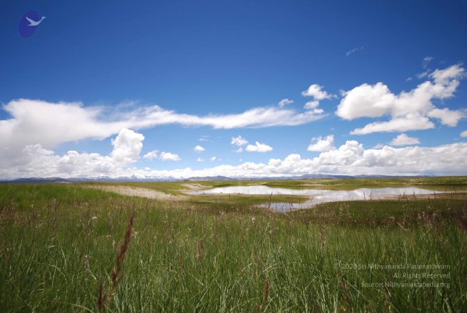 20120810 Photo 1013 1SP9CUx5xWMAUQLdq24L 3-u2luZibq9g.JPG