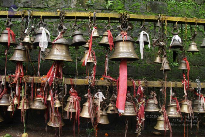 20120812 Photo 1067 11dgcmWeSQvRWuw4Nf7xtroFGVL0YZVGK.JPG