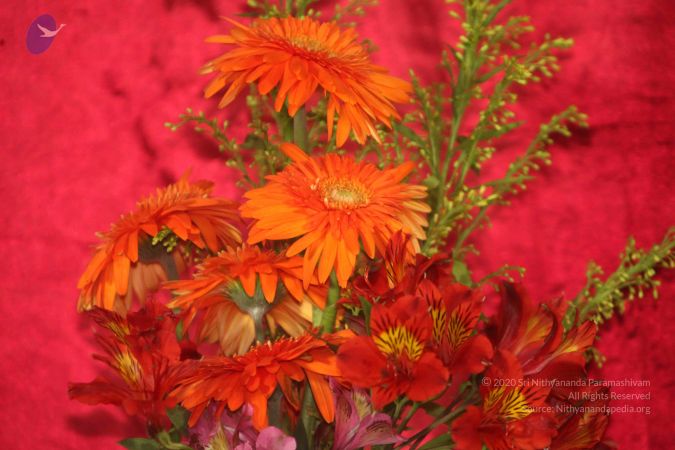 20120903 Photo 1018 1dDwB3WZ54A0zbb uLcdM8ZfPNOJC khO.JPG