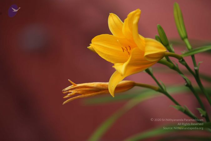 20120903 Photo 1061 1KlLzKjZ3bp8E5TTG m1J8bnSInPKMFAF.JPG