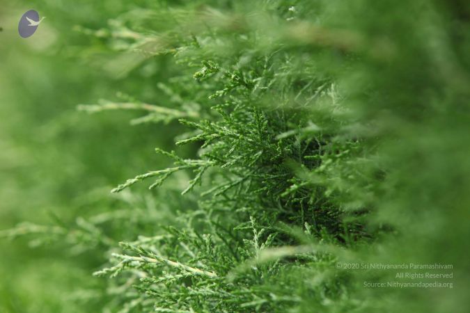 20120903 Photo 1062 170drg67qC3qDOPvjb5 KzQP7XMlVKJ2G.JPG