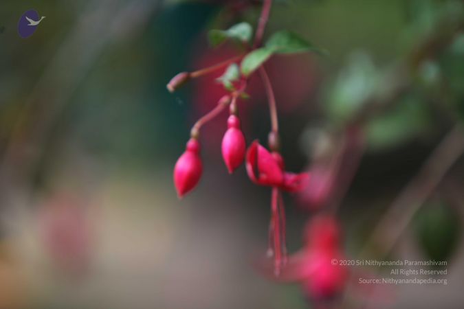 20120903 Photo 1066 1slraTj4kNctn vulNc-NzAneel3qV5UO.JPG