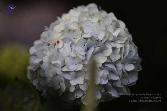 20120903 Photo 1067 1r zqU0XWcG8lcYYhZYbxbKFiC5pu3W7s.JPG