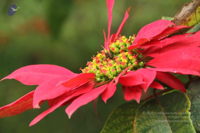 20120903 Photo 1082 19x6iNEAFwL5rW0zeIUgeJlXT1iSkwoAU.JPG