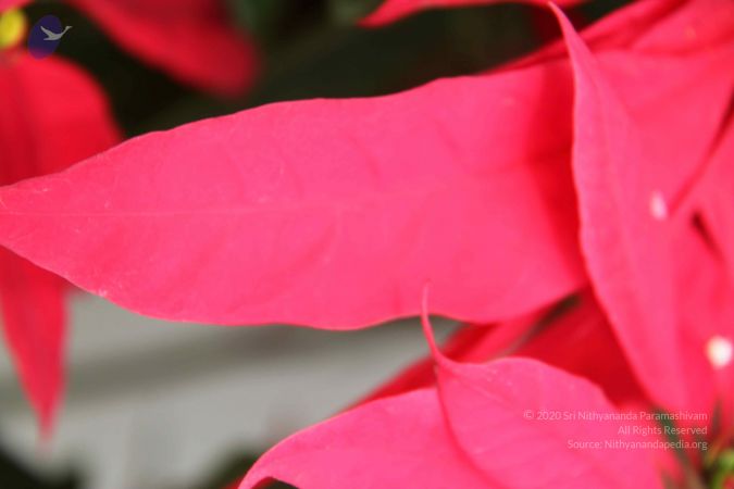 20120903 Photo 1087 125MemMEZl14B8xN3IhCqPJFBbUufKCz5.JPG