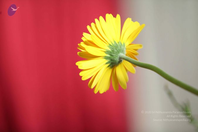 20120904 Photo 1006 1qEGcn 4GtxQZnQRJ8Do9UJwcsPAH3Ycd.JPG