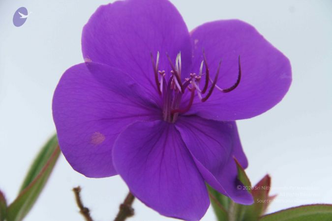 20120904 Photo 1302 12z6J9tVC46EIY1BR2qeGvGo6-aBNG 0y.JPG