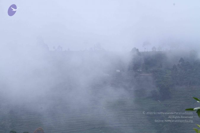 20120908 Photo 1277 11Lh5MjixO9rGruhN cWlRXwV qhFey w.JPG