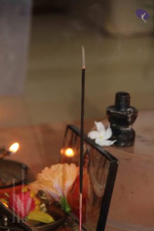 20120912 Photo 1001 1HQ9jrvvnLlZ9JruxcdW7Aut8nflA0yc9.JPG