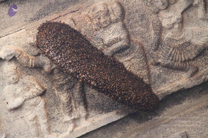 20120912 Photo 1133 1jSmcZjpi5DbSiKZIZx2f F95HDRWwPQV.JPG