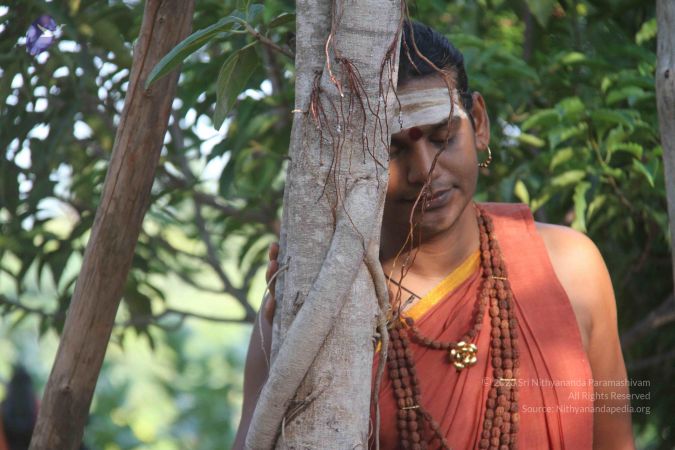 20120913 Photo 1023 1z4fFQZAGEuGCvGG9MKnqhh-QRbeoRDYy.JPG