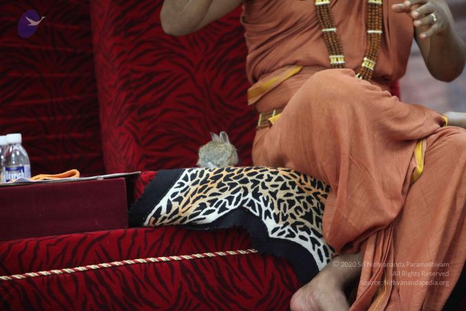 20120915 Photo 1247 1v5cZPeB3XEPOpSG8ttGwPxP-G44YbazA.JPG