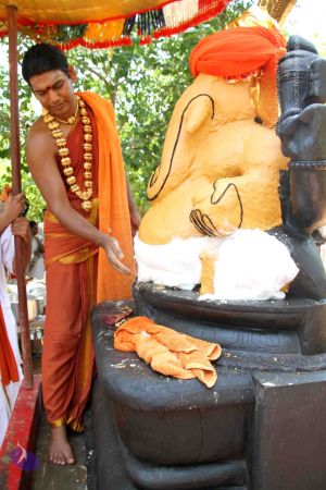 20120919 Photo 1147 1uGvsNNwk1rewT2WaId47jXYVZZ2Ide 1.JPG