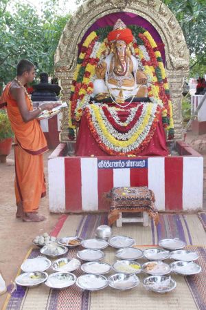 20120919 Photo 1182 1JbOB97MZlmr0OWMiaFxxXBWlj2OSTzOr.JPG