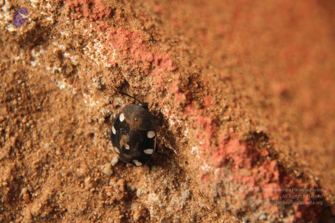 20120919 Photo 1409 1TEYkzuXHbGV7pz9ruDiJ2ac1YVpVuXa2.JPG