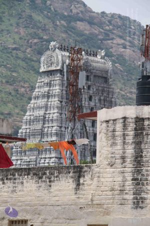 20120920 Photo 1409 1FX4a6DeCYTOT2qrqZi BZUPuNhWcyqJq.JPG