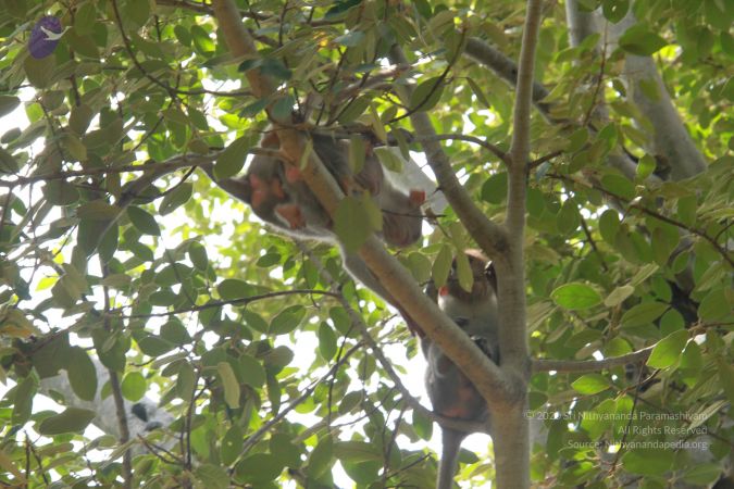 20120924 Photo 1109 13QXk3CGj55RiA-0ulsfFC8OVV23LjV0E.JPG