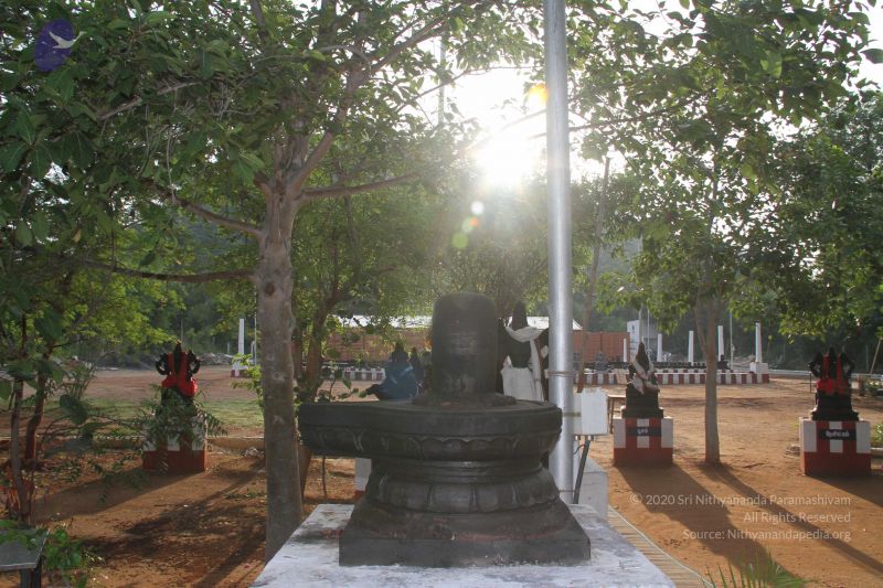 File:20120926 Photo 1021 1rkOf18JIfS m zEgjrMeYthElpyUtDo0.JPG