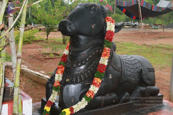 20120929 Photo 1003 1PZuBY0rkWExnuSGUyA9iV68 -RzQkMYl.JPG