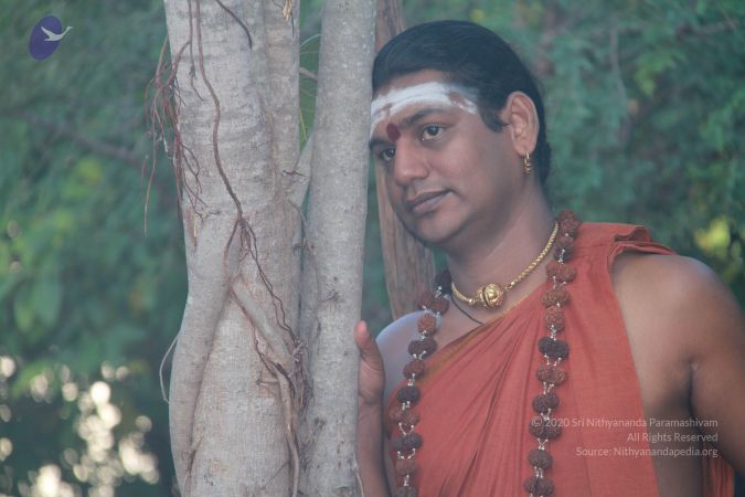 20121005 Photo 1015 15EPE7aPomLj2hN8UBBulI6q0eV6Qw36u.JPG