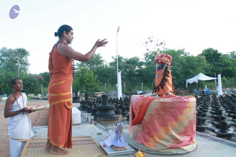 File:20121005 Photo 1021 1QYBNTPDb2rcPvfOlgz1rjoI9tX0IJ9wV.JPG