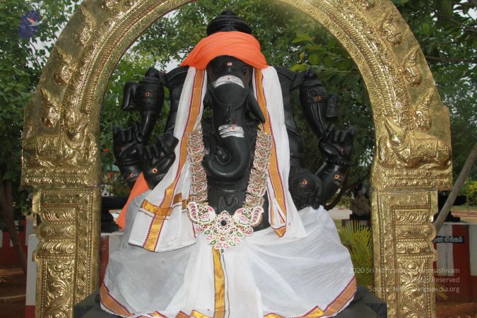 20121006 Photo 1005 142jM19gbHLpMlOUvcKWGTyK8Chub4gRm.JPG