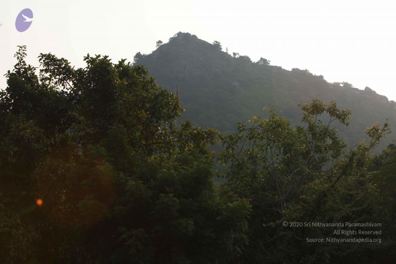File:20121009 Photo 1035 1-QnQ9GTgnyaWnmCvIpuuQJVwqlICwdL .JPG
