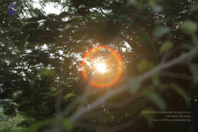 20121009 Photo 1042 1Mt2AKdiNsCEhS qOAoFQMitEY55Gt7A6.JPG